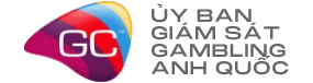 giám sát quốc tế