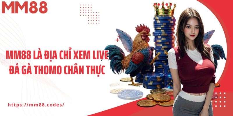 MM88 là địa chỉ xem live đá gà thomo chân thực